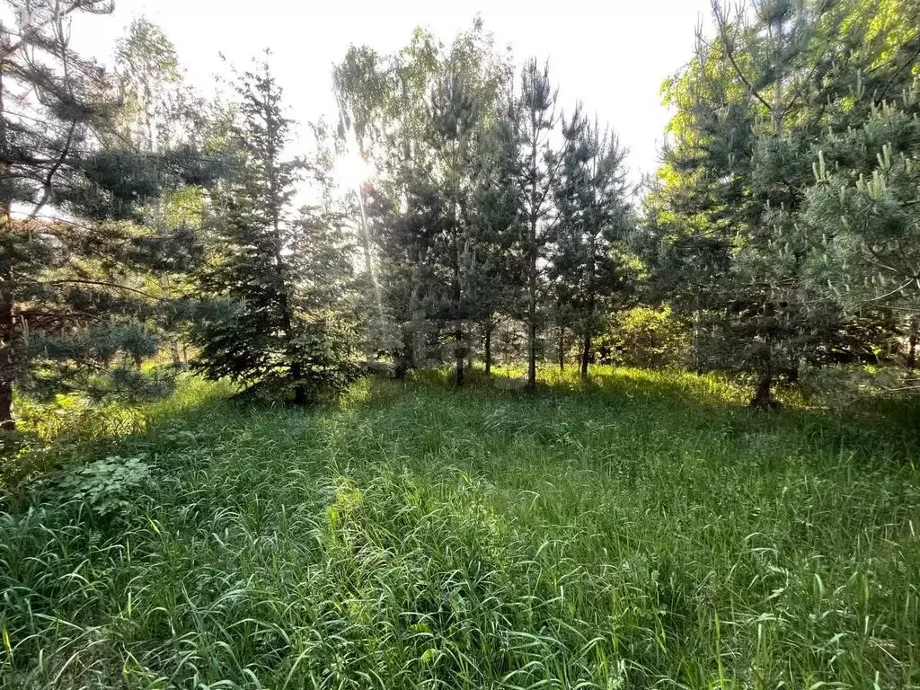 Участок в деревня Плоски, территория Плоски-2 (110.5 м) - Фото 0