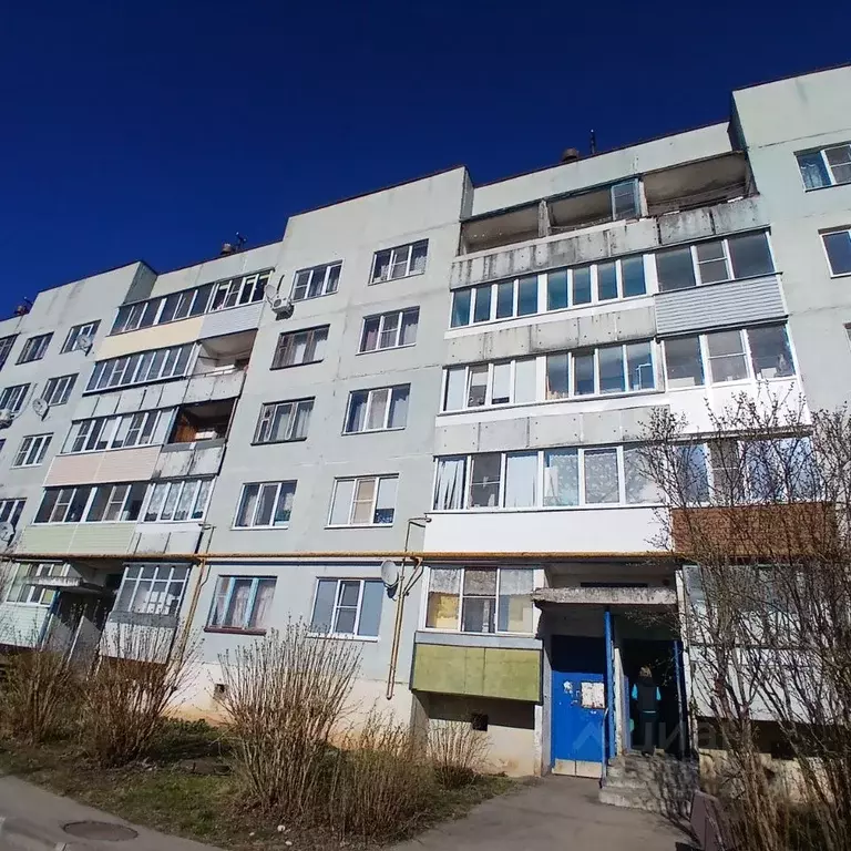 1-к кв. Псковская область, Палкино рп ул. Псковская, 8 (30.0 м) - Фото 1