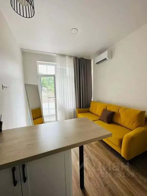 Студия Краснодарский край, Сочи ул. Ленина, 290/6 (19.0 м) - Фото 1
