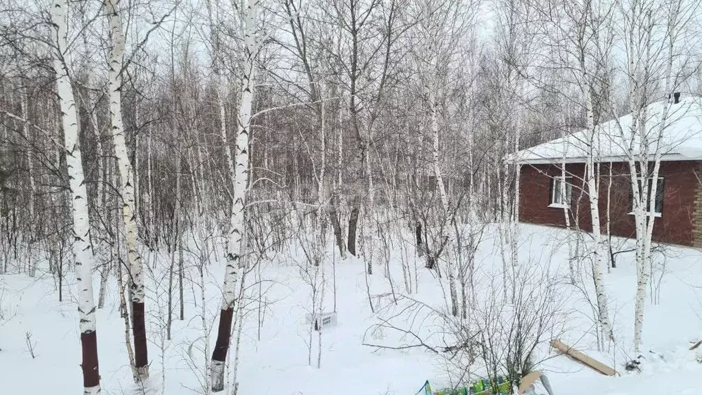 Участок в Амурская область, Благовещенский район, с. Чигири ул. ... - Фото 1