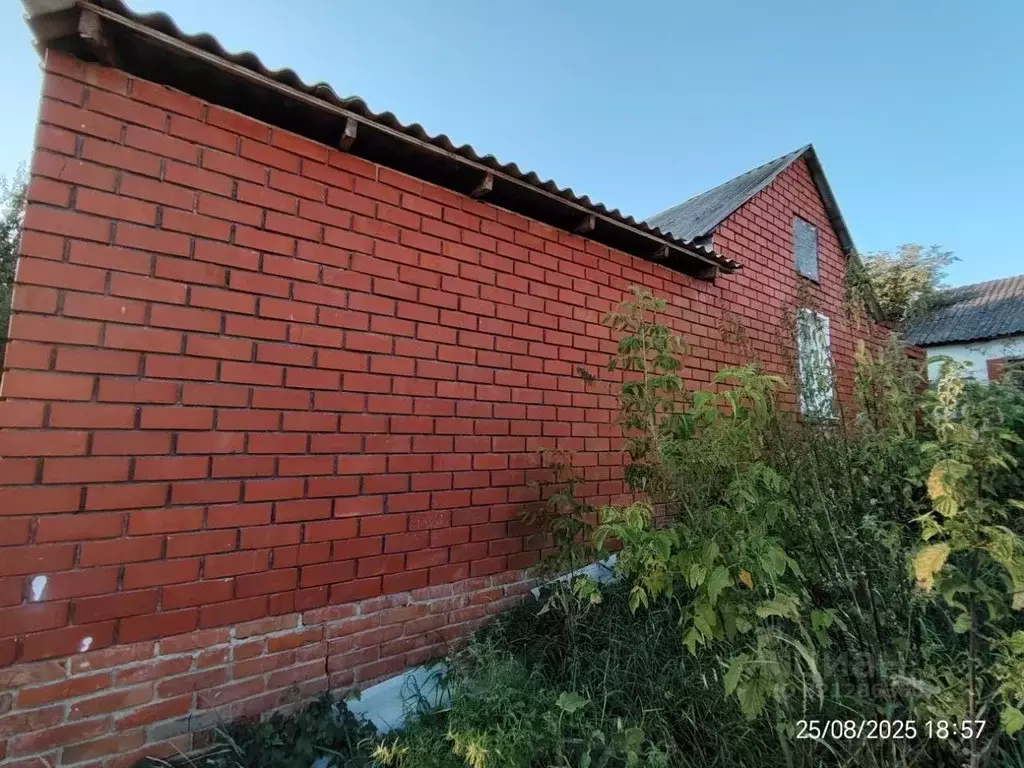 Дом в Белгородская область, Белгородский район, с. Стрелецкое  (65 м) - Фото 2