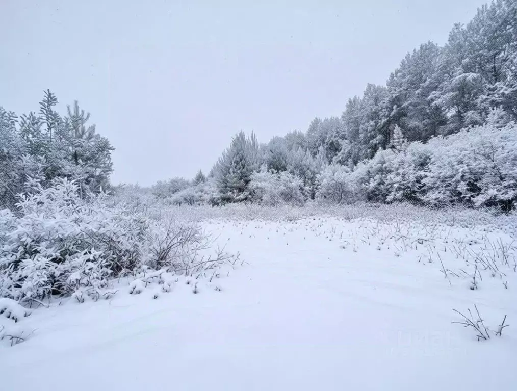 Участок в Тюменская область, Тюменский муниципальный округ, Чикчинское ... - Фото 2