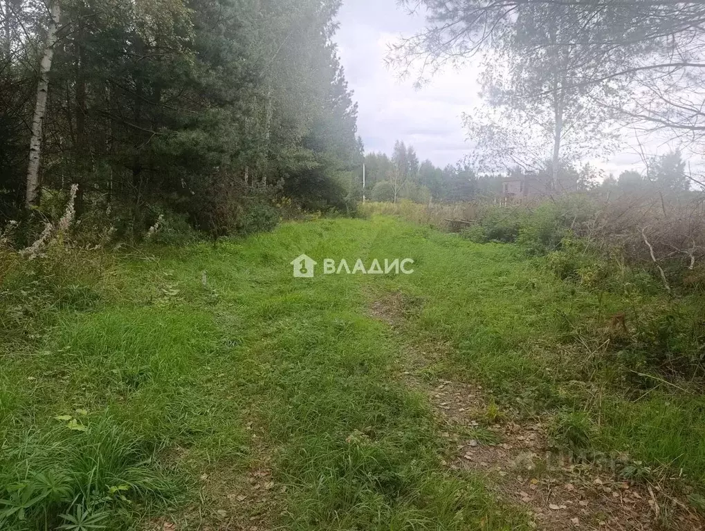 Участок в Владимирская область, Владимир ул. Дербеневская (10.0 сот.) - Фото 2