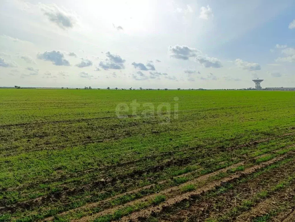 Участок в Крым, Сакский район, с. Молочное  (6.0 сот.) - Фото 0