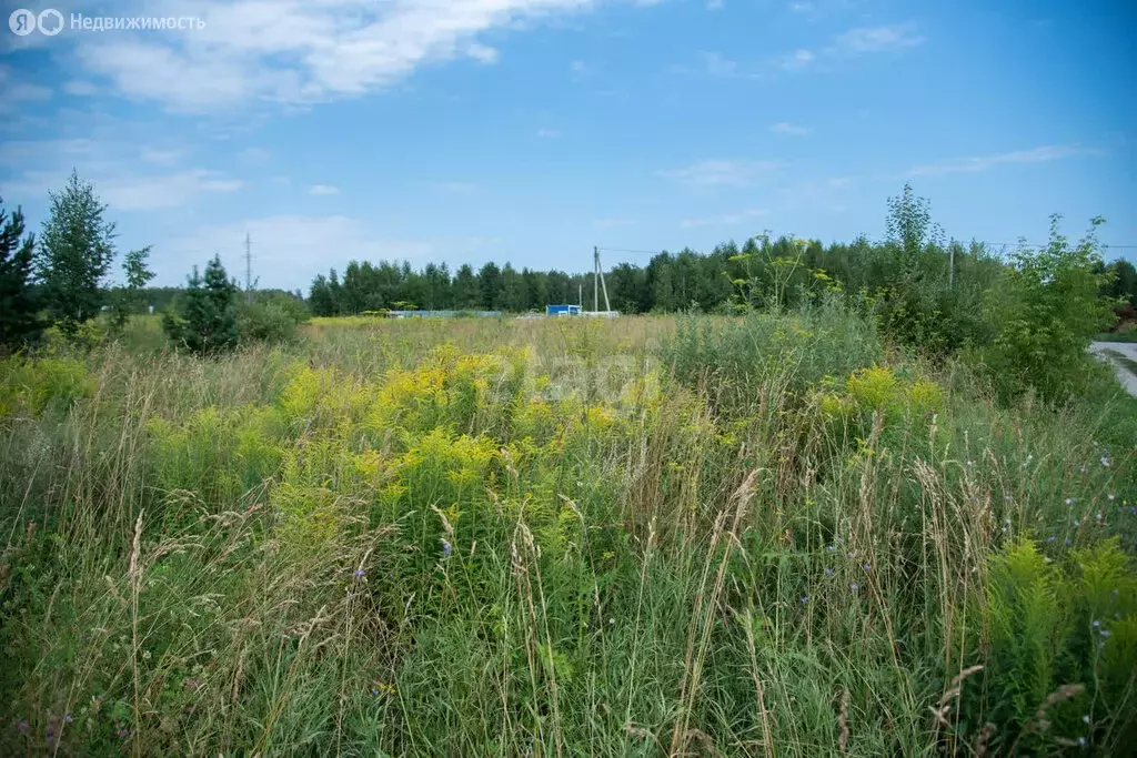 Участок в Искитимский район, село Морозово (9.4 м) - Фото 1