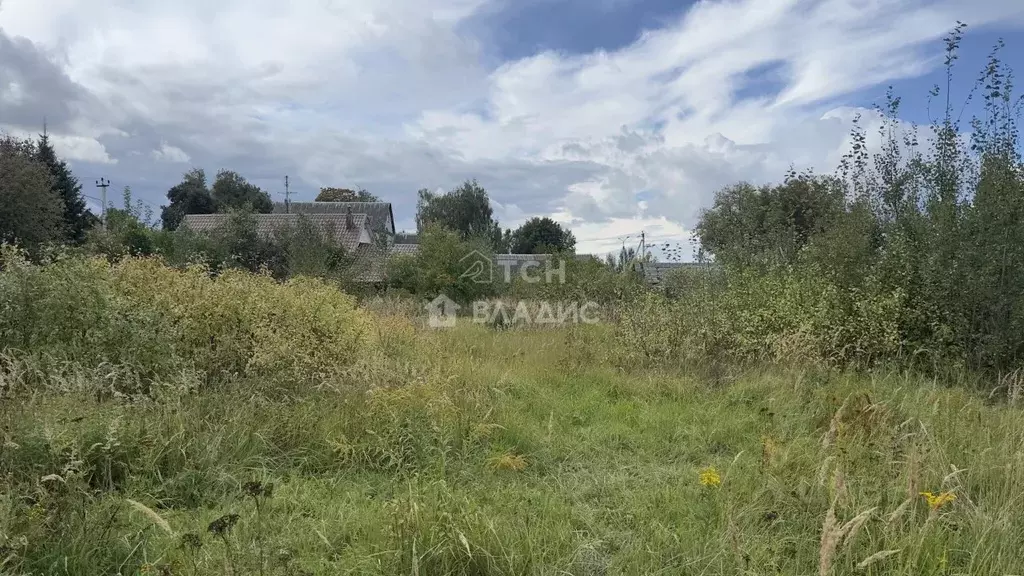 Участок в Московская область, Богородский городской округ, с. ... - Фото 1