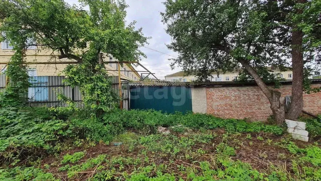 Участок в Белгородская область, Волоконовка рп ул. Первогвардейская, ... - Фото 1