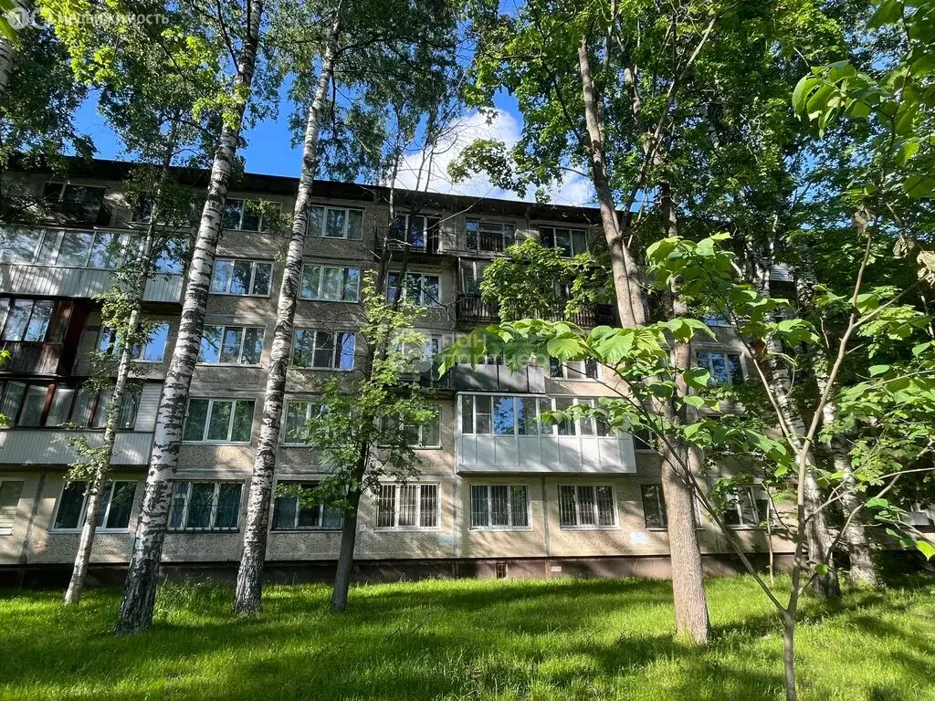 2-комнатная квартира: Санкт-Петербург, проспект Науки, 69 (45 м) - Фото 2