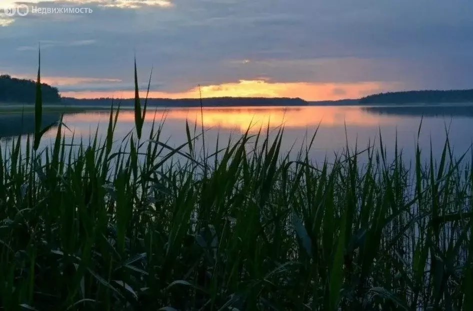 Участок в Выборгский район, Каменногорское городское поселение, ... - Фото 1