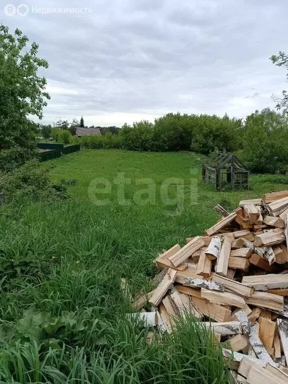 Дом в Мошковский район, село Белоярка (62.9 м) - Фото 0