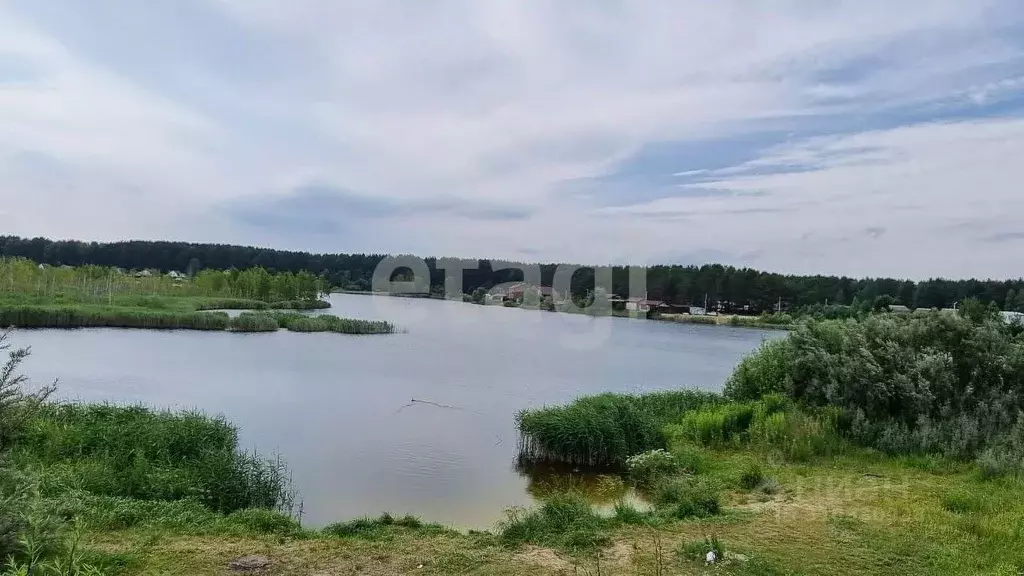 Участок в Брянская область, Брянский район, Нетьинское с/пос, Лесная ... - Фото 1