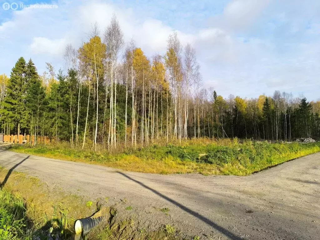 Участок в городской посёлок Синявино, Молодёжная улица, 4 (10 м) - Фото 2