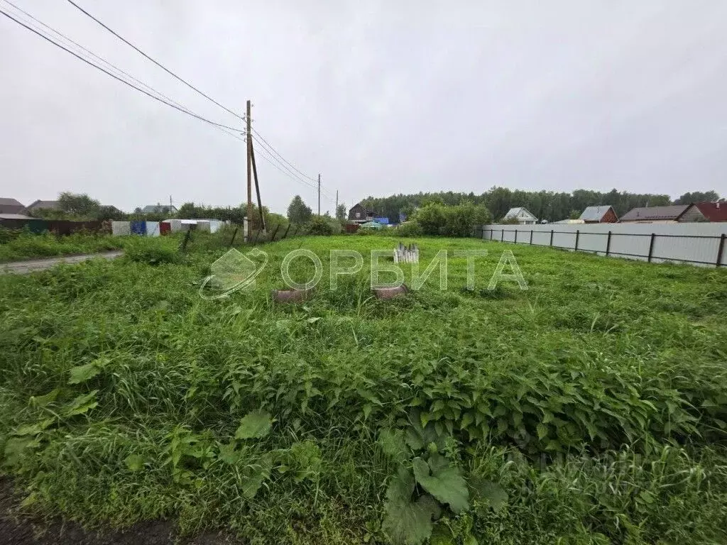 Участок в Тюменская область, Тюмень Лаванда садовое товарищество, ул. ... - Фото 1