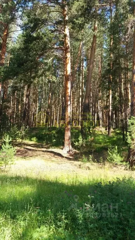 Участок в Свердловская область, Ревда городской округ, пос. Ледянка  ... - Фото 1