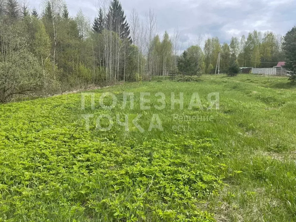 Участок в Новгородская область, Боровичский район, Сушанское с/пос, ... - Фото 1