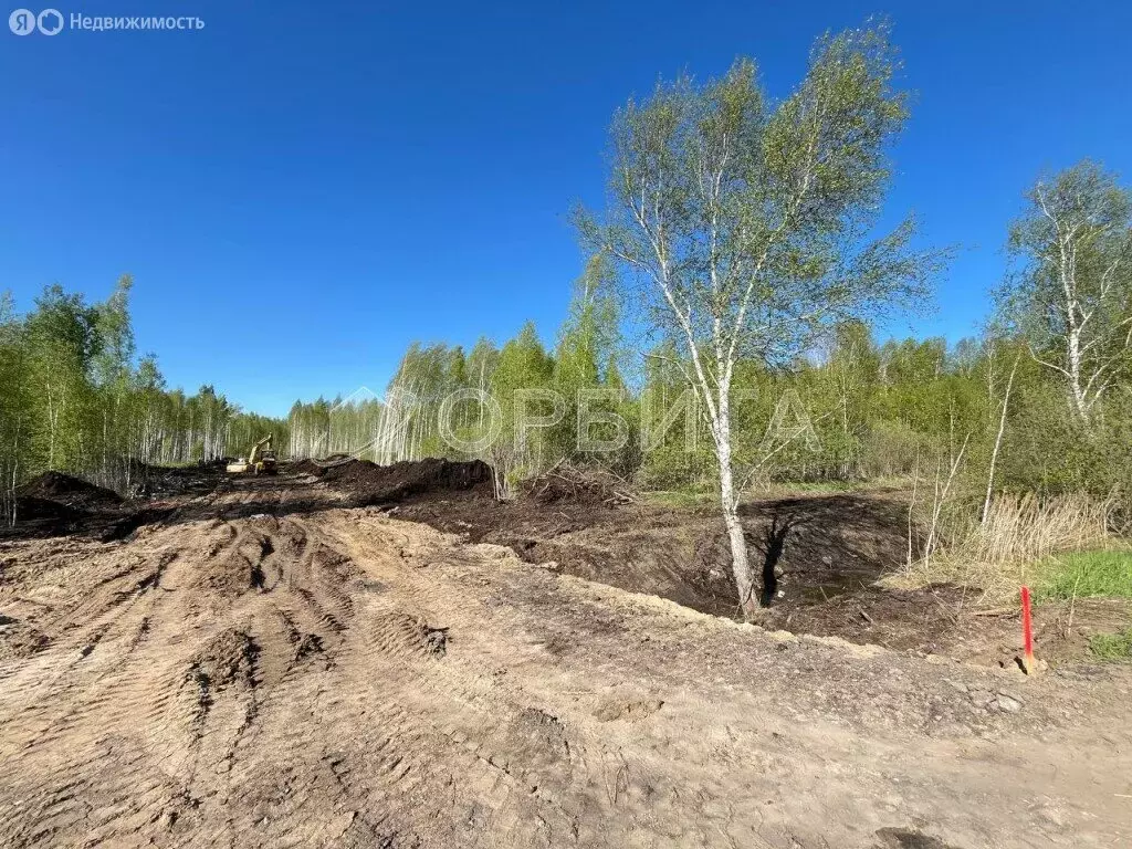 Участок в Исетский район, деревня Решетникова (6 м) - Фото 1