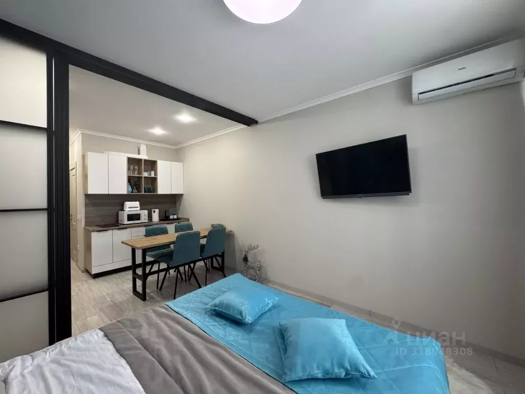 Студия Краснодарский край, Анапа ш. Супсехское, 39к17 (30.0 м) - Фото 1