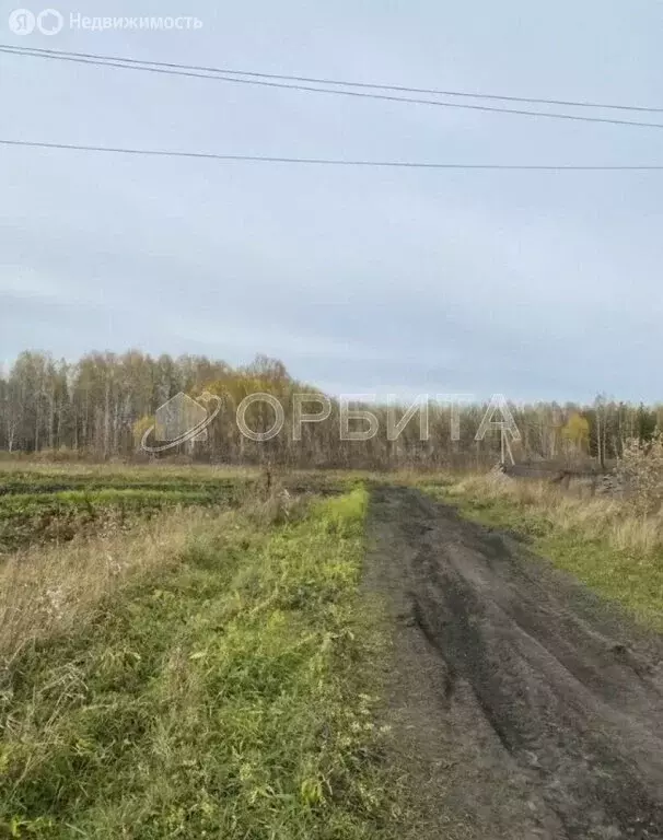Участок в Усть-Ницинское сельское поселение, деревня Ермолина (10 м) - Фото 0