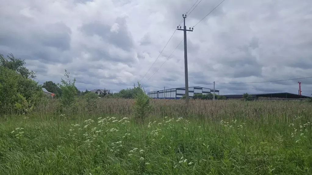 Участок в Московская область, Домодедово городской округ, с. Шубино  ... - Фото 1