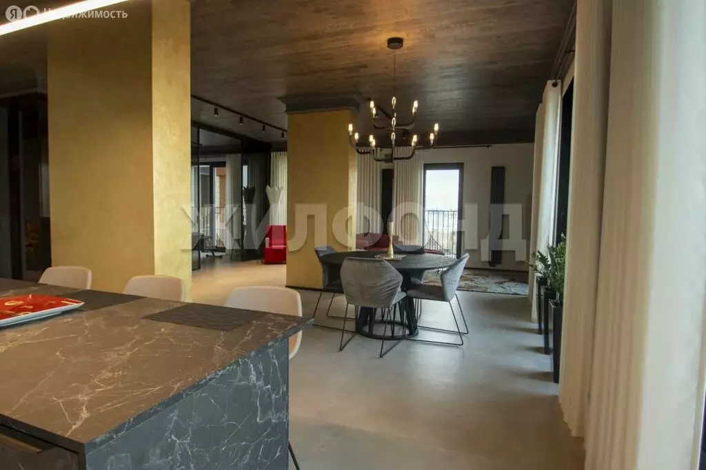 Квартира-студия: Новосибирск, улица Чаплыгина, 54 (90.8 м) - Фото 1