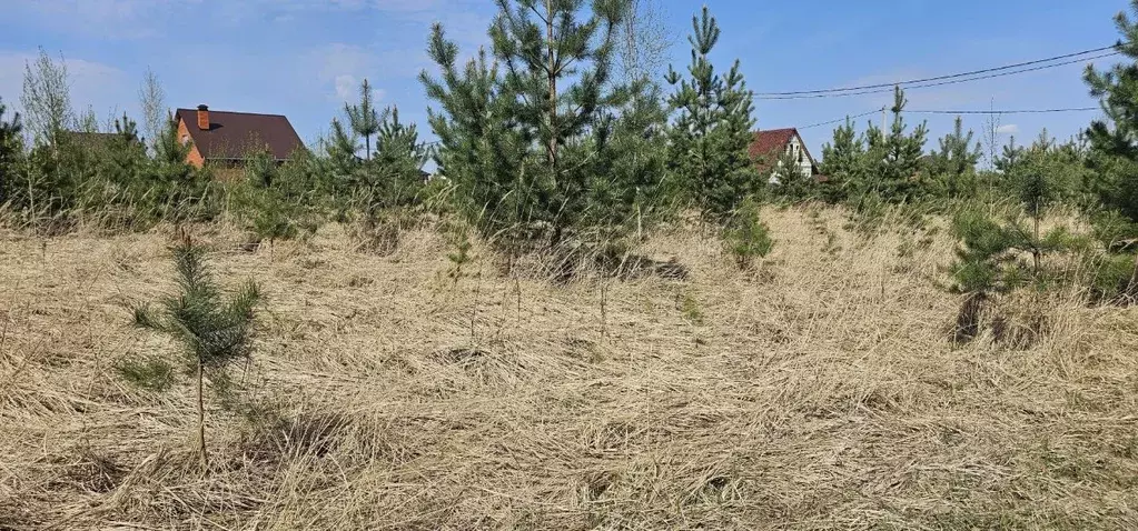Участок в Московская область, Луховицы муниципальный округ, с. Матыра ... - Фото 1