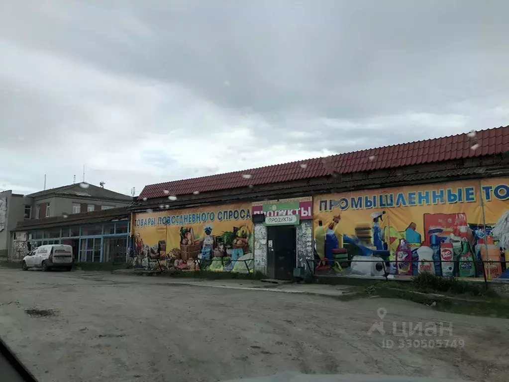 Участок в Свердловская область, Белоярский муниципальный округ, ... - Фото 2