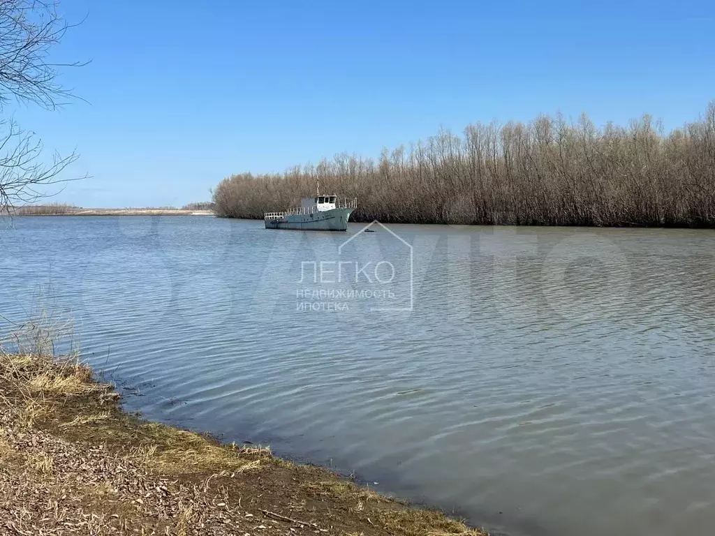 Участок 4,8 сот. (СНТ, ДНП) - Фото 1