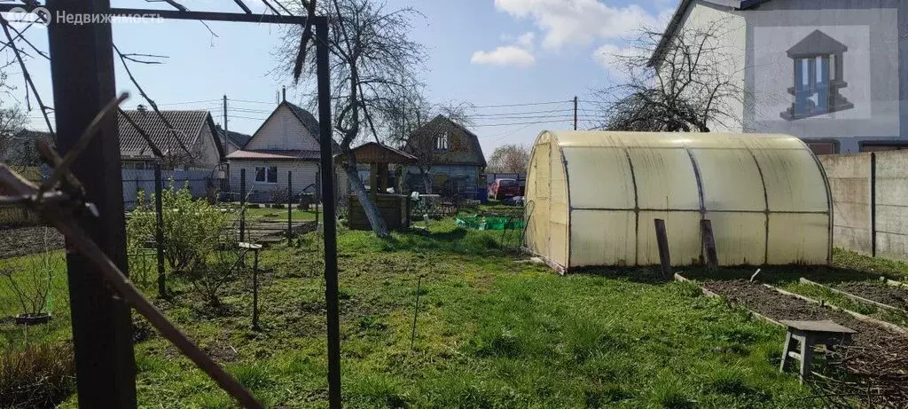 Участок в Калининград, СНТ Ромашка, Садовая улица, 30А (6.21 м) - Фото 2