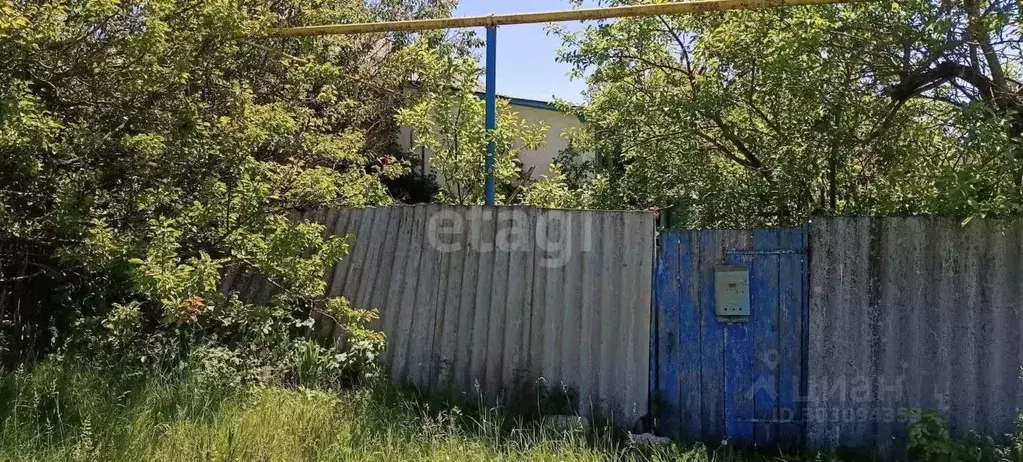 Дом в Белгородская область, Волоконовский район, с. Шидловка ул. Мира ... - Фото 1