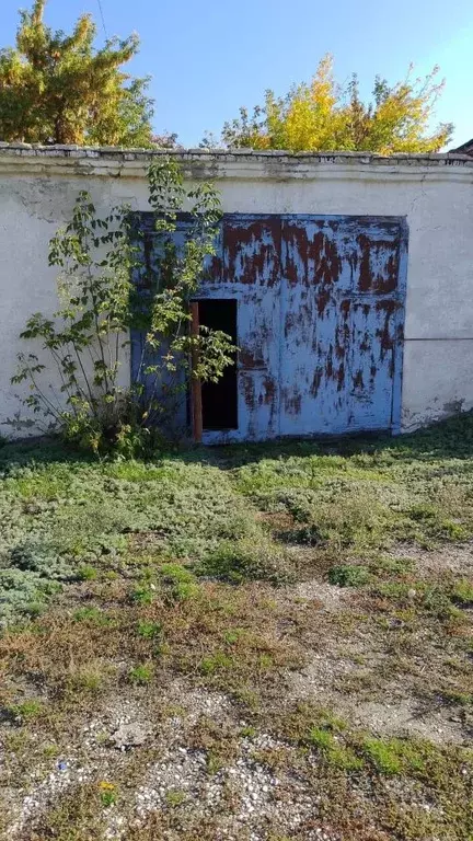 Помещение свободного назначения в Оренбургская область, с. Кваркено ... - Фото 1