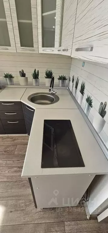 Студия Приморский край, Владивосток Снеговая ул., 123 (23.2 м) - Фото 2