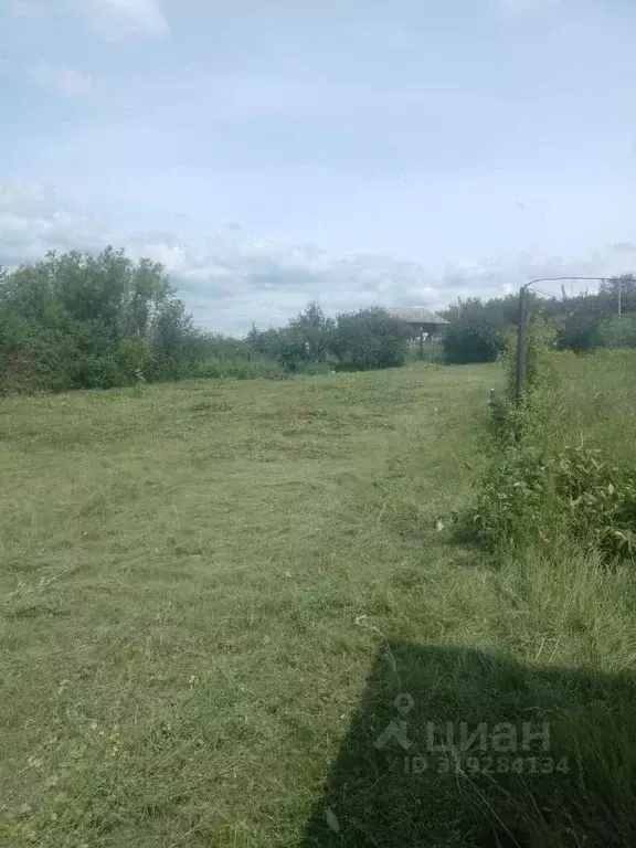 Участок в Саратовская область, Балашовский район, Хоперское ... - Фото 1