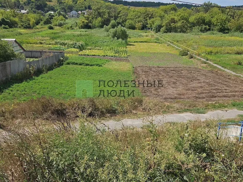 Участок в Белгородская область, Строитель Яковлевский городской округ, ... - Фото 1