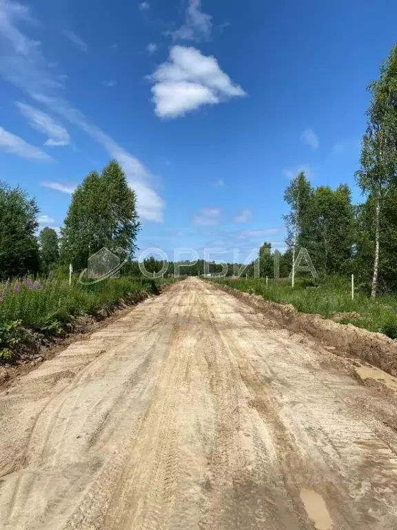 Участок в Тюменская область, Нижнетавдинский район, д. Штакульская  ... - Фото 1