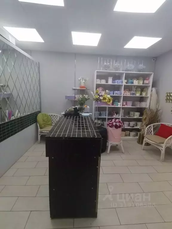 Помещение свободного назначения в Орловская область, Орел ул. МОПРа, ... - Фото 1
