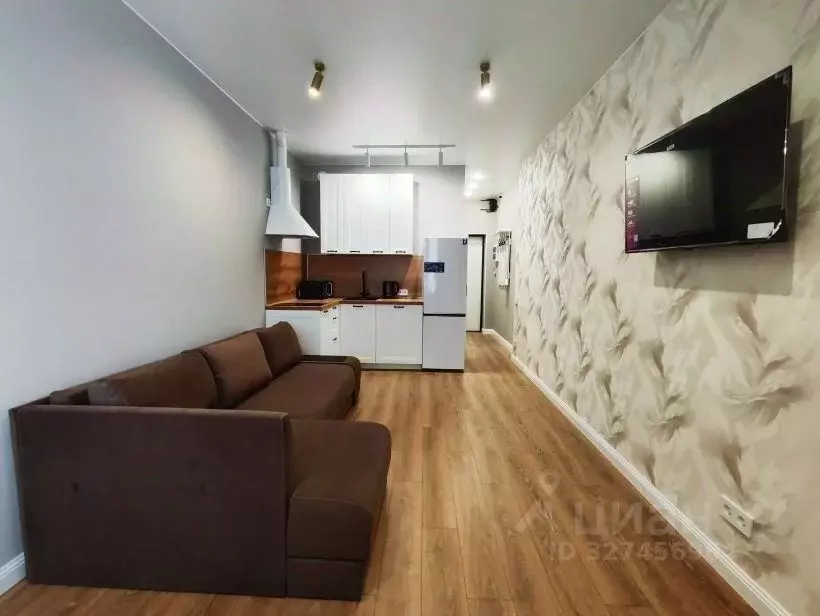 Студия Санкт-Петербург наб. Миклухо-Маклая, 3к1 (24.3 м) - Фото 1