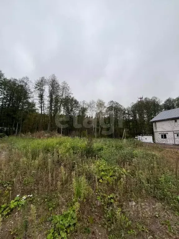 Участок в Московская область, Щелково городской округ, Екатерининская ... - Фото 1