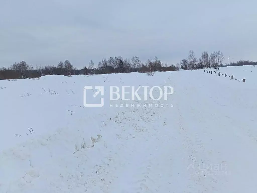 Участок в Ярославская область, Борисоглебский район, Инальцинское ... - Фото 1