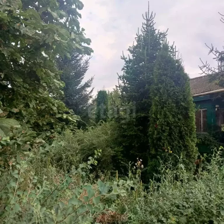 Дом в Тамбовская область, Ржаксинский муниципальный округ, д. Зароща ... - Фото 1