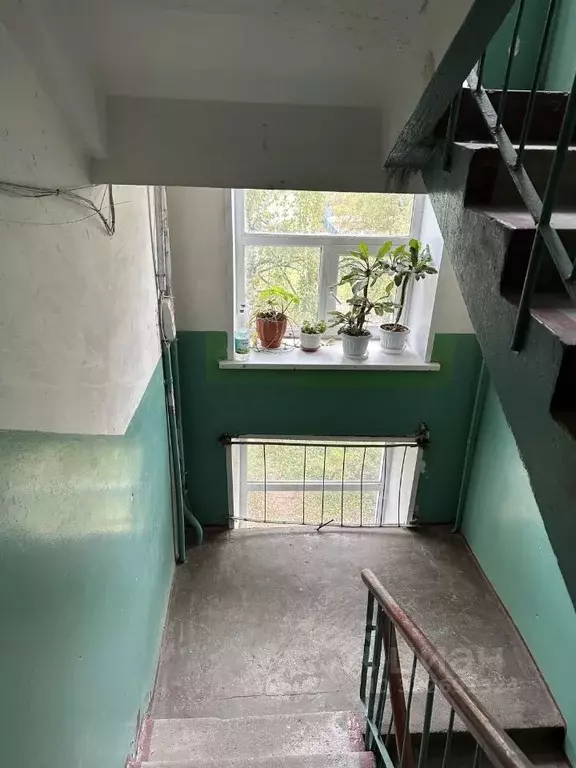 2-к кв. Нижегородская область, Нижний Новгород ул. Чаадаева, 34 (43.0 ... - Фото 2