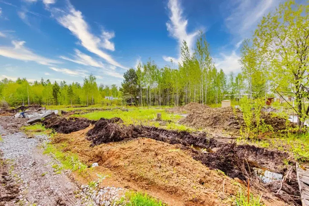 Участок в Тюменская область, Тюменский муниципальный округ, Нива СНТ ... - Фото 0