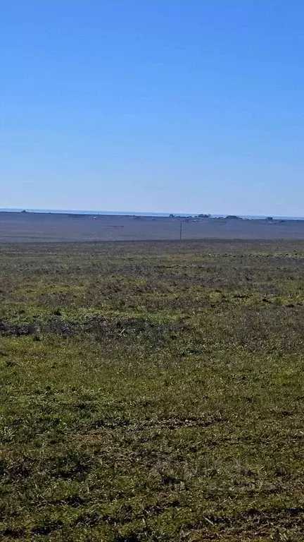 Участок в Крым, Ленинский район, Батальненское с/пос  (100.0 сот.) - Фото 1