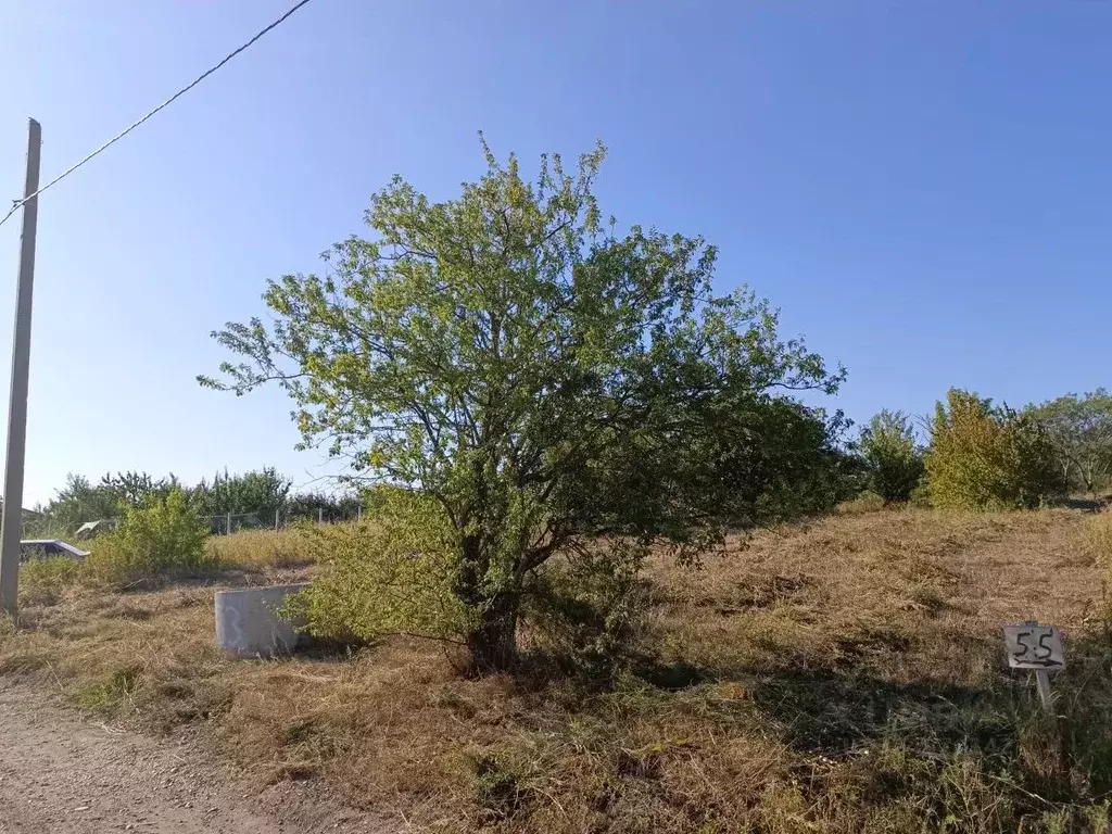 Участок в Ставропольский край, Шпаковский муниципальный округ, Демино ... - Фото 2