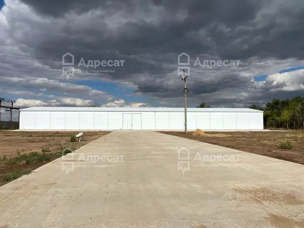 Офис в Волгоградская область, Волгоград ш. Авиаторов, 103 (1150 м) - Фото 1