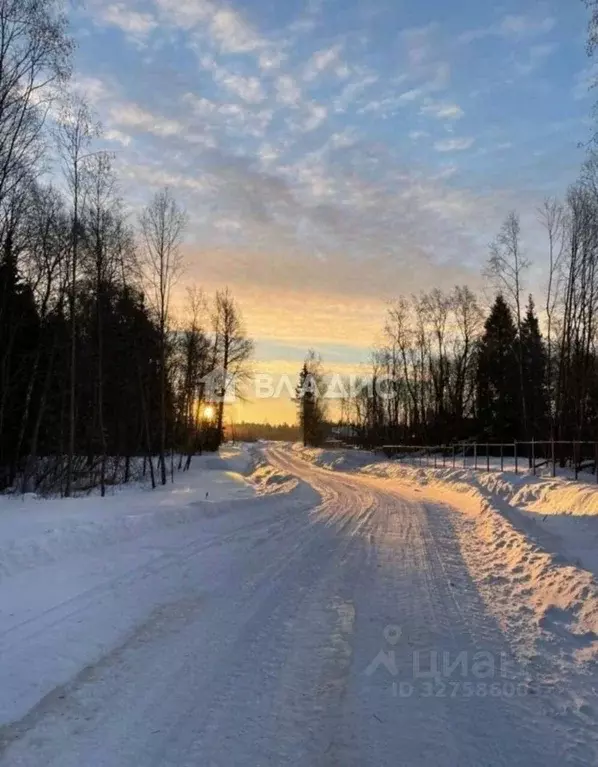 Участок в Московская область, Клин городской округ, Вельга Парк кп ... - Фото 2