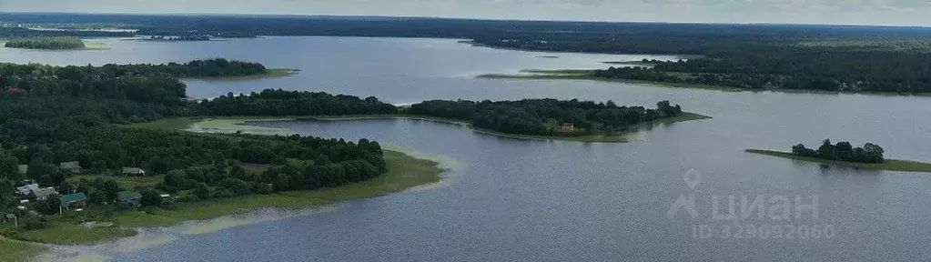 Участок в Тверская область, Осташковский муниципальный округ, д. ... - Фото 2