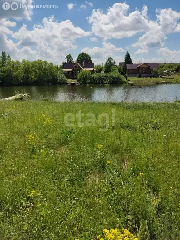 Участок в Пензенский район, Богословский сельсовет, село Богословка (9 ... - Фото 1