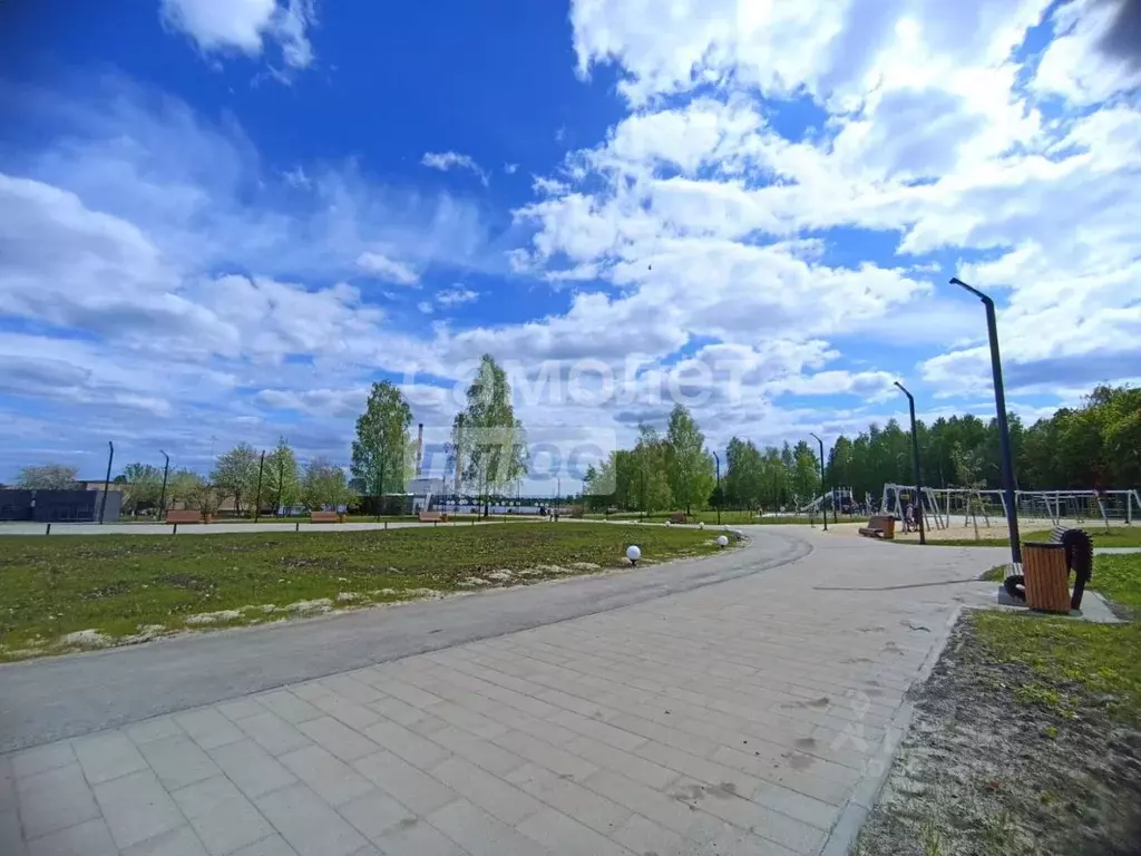 Участок в Рязанская область, Пронский муниципальный округ, д. Ивашково ... - Фото 2