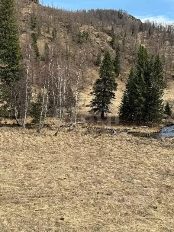 Участок в Алтай, Шебалинский район, с. Дъектиек ул. Центральная (10.0 ... - Фото 1
