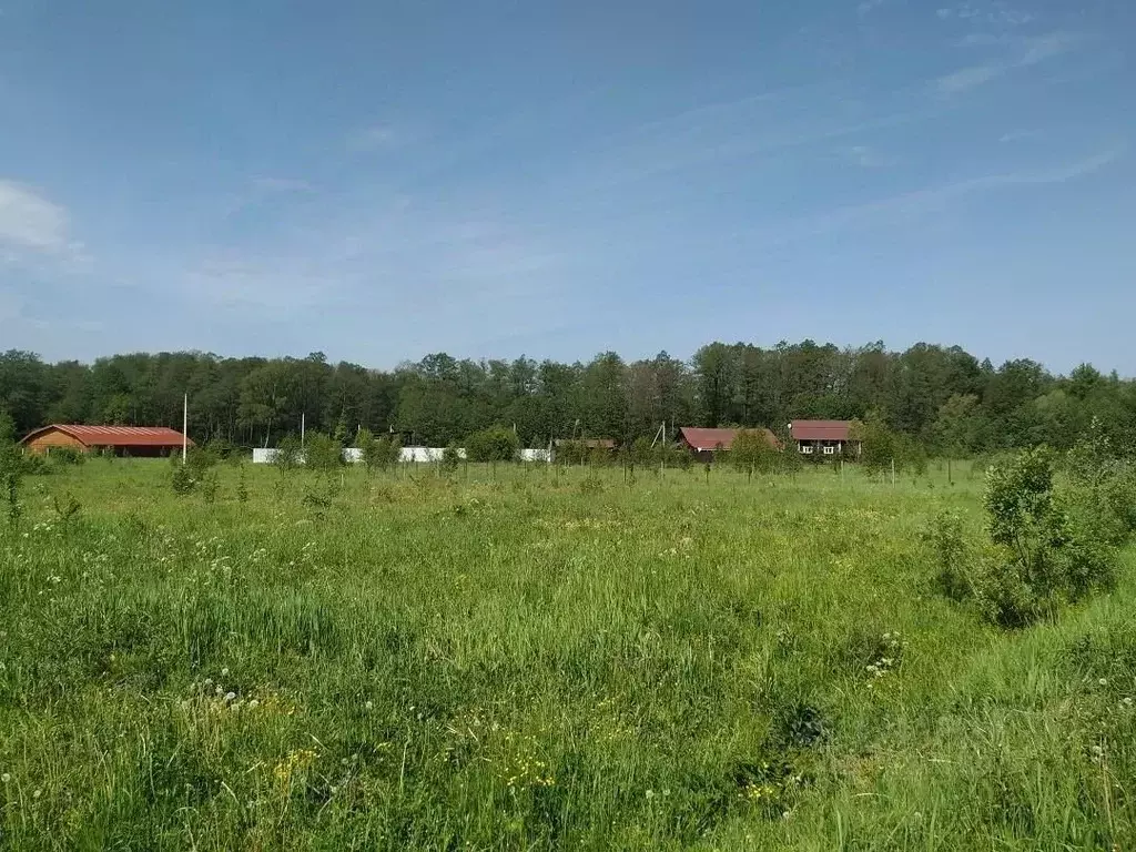 Участок в Московская область, Чехов муниципальный округ, д. Ишино  ... - Фото 1